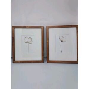Framed Pair of Flower Prints in Pottery Barn Wood Frames 13" x 11" Each